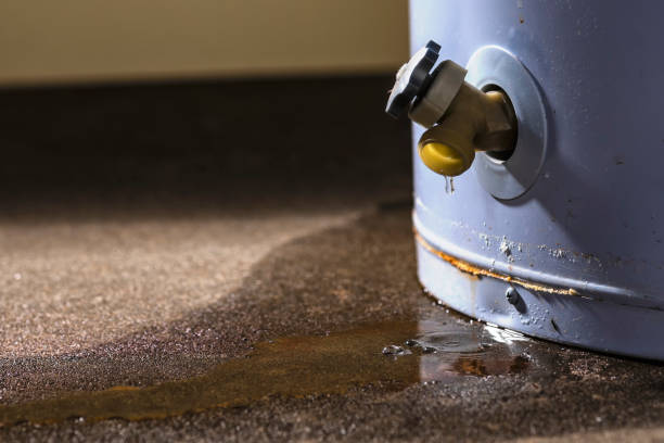 Best Water damage restoration cost  in Lagunitas Forest Knolls, CA
