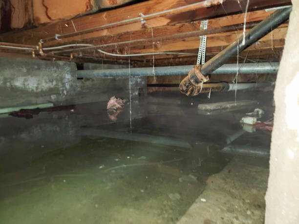 Best Flooded house restoration  in Lagunitas Forest Knolls, CA