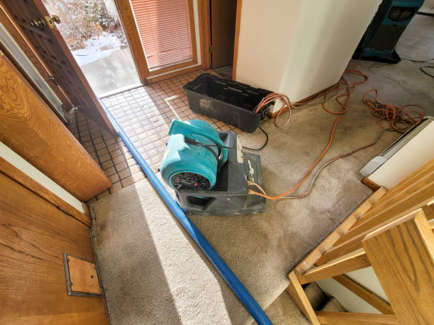Best Residential water damage restoration  in Lagunitas Forest Knolls, CA