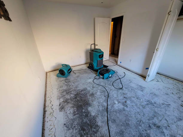 Best Water damage cleanup near me  in Lagunitas Forest Knolls, CA