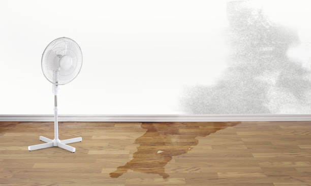 Best Fire Damage Restoration  in Lagunitas Forest Knolls, CA