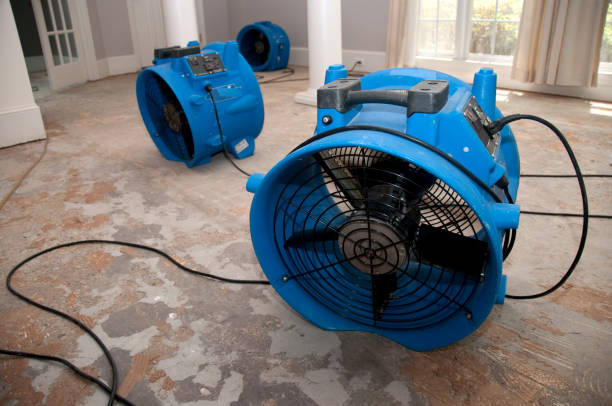 Best Water damage restoration near me  in Lagunitas Forest Knolls, CA