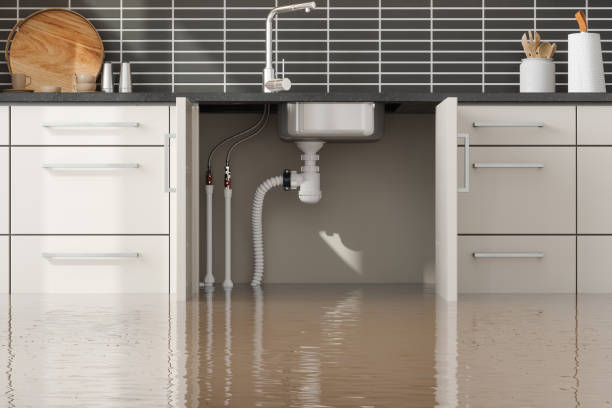Best Basement water damage restoration  in Lagunitas Forest Knolls, CA