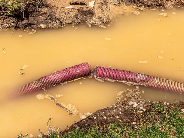 Best Flood damage cleanup  in Lagunitas Forest Knolls, CA