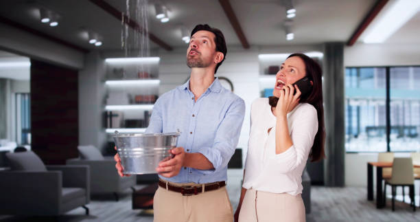 Best Mold removal after water damage  in Lagunitas Forest Knolls, CA