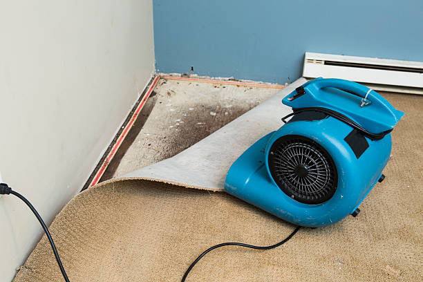 Best Residential water damage restoration  in Lagunitas Forest Knolls, CA